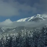 Отель Helga 3*