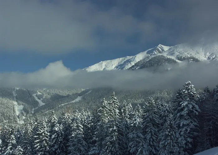 酒店 海尔格酒店 3*